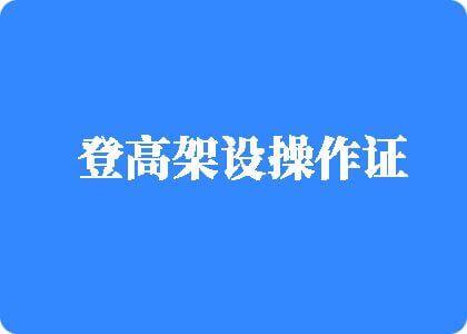 中国老女人欧美肥婆露毛依术u登高架设操作证